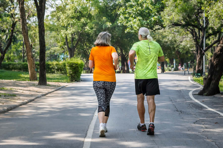 Longevity Nedir?